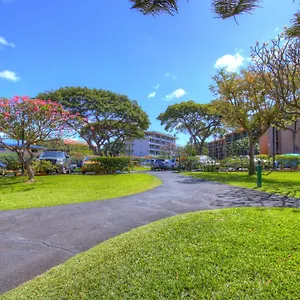 Maui Vista 3101 Kihei